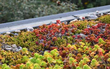 the cost of Lambeg green roof installation