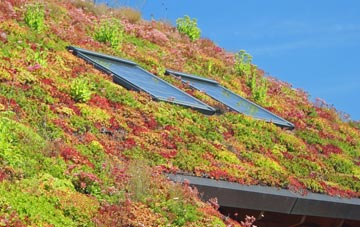 Lambeg living roof systems