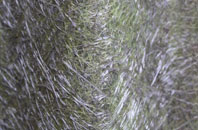 Lambeg fibreglass roof work